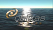 Calixas DVD